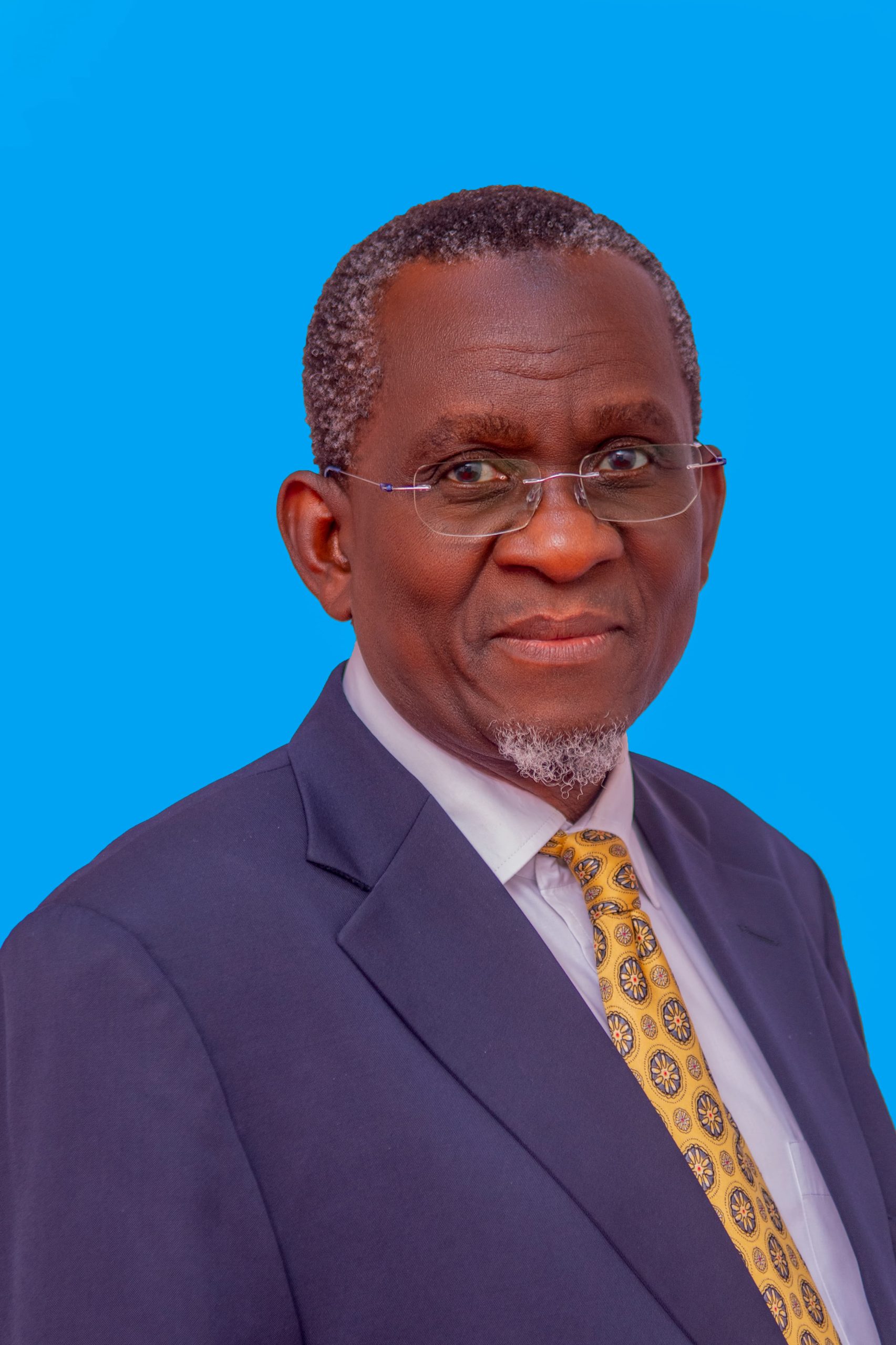 Amb. Dr. Ramadhan Dau